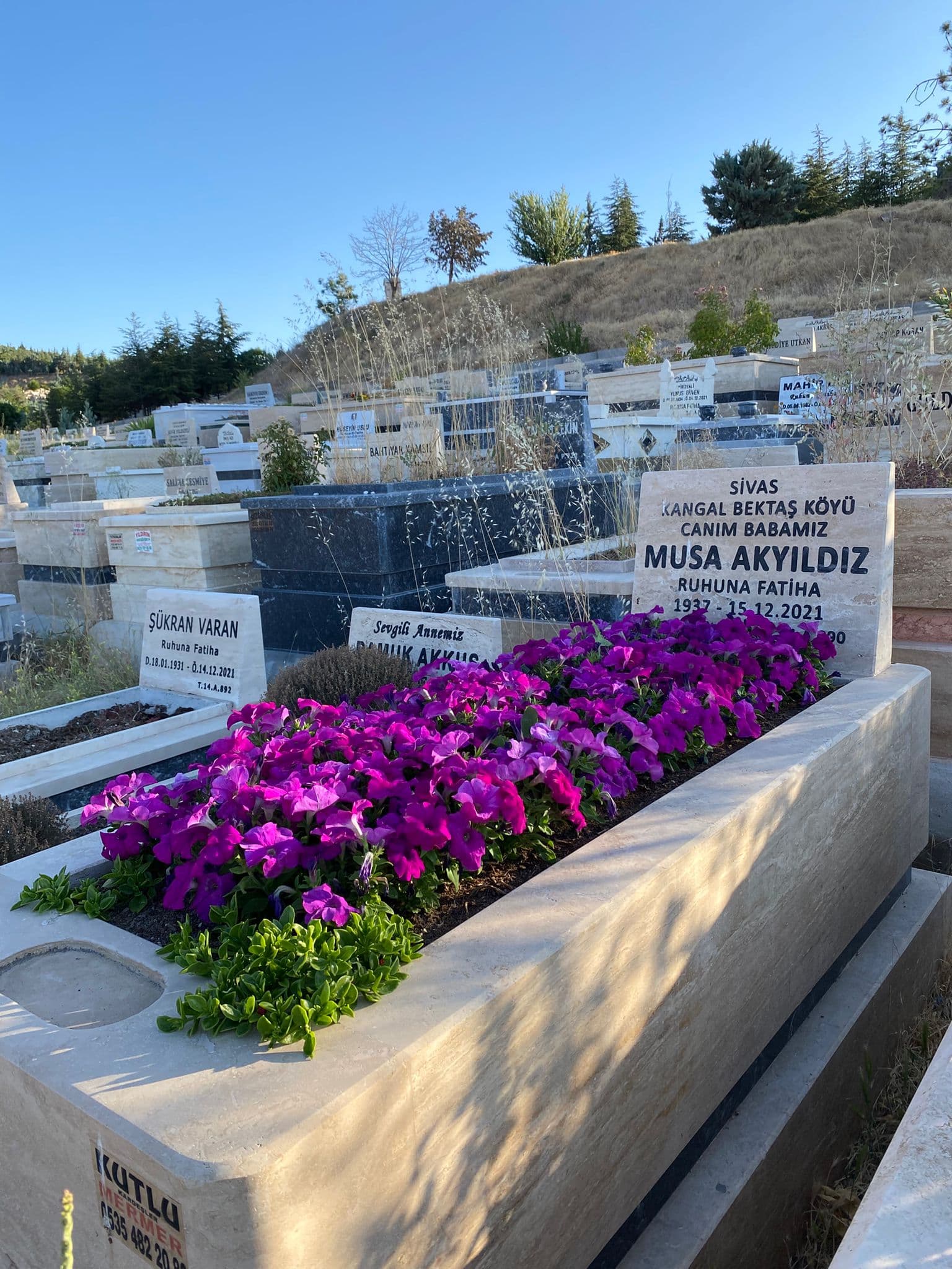 Mezar peyzajı ve çevre düzeni